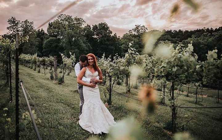 Boda en un viñedo / vineyards wedding - 12