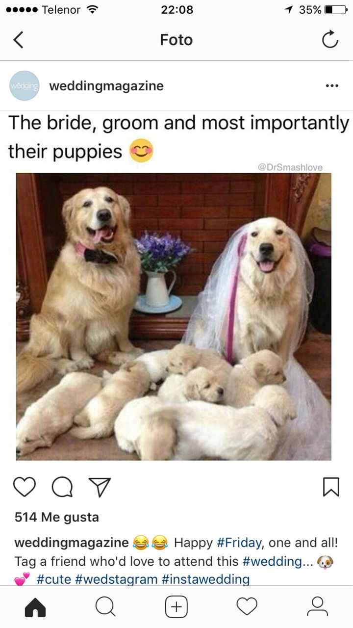 Un poco de humor de boda ☀️ - 6