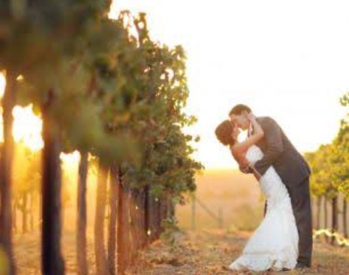 Boda en un viñedo / vineyards wedding - 1
