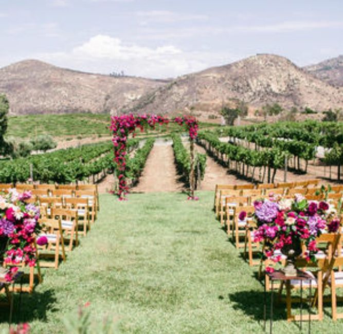 Boda en un viñedo / vineyards wedding - 2