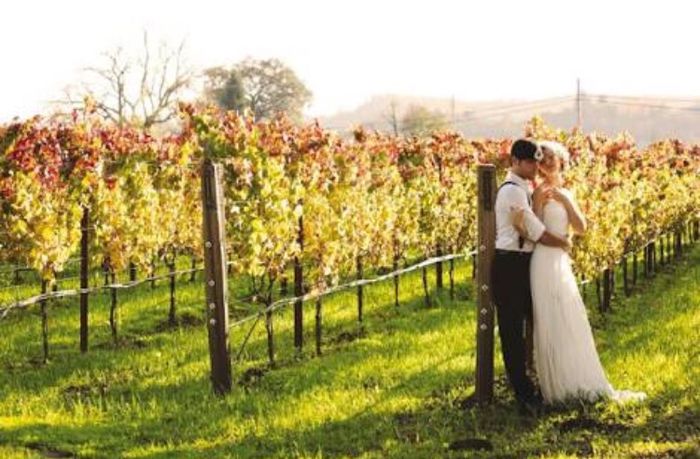 Boda en un viñedo / vineyards wedding - 3
