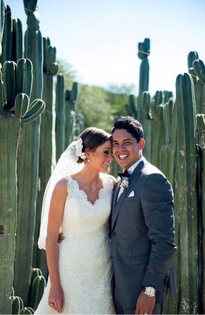 Boda en un viñedo / vineyards wedding - 5