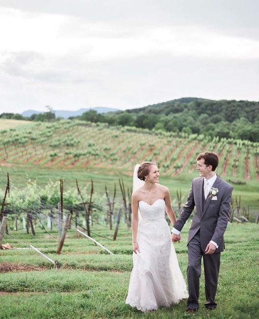 Boda en un viñedo / vineyards wedding - 9