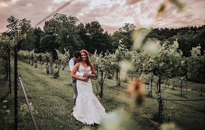 Boda en un viñedo / vineyards wedding - 12