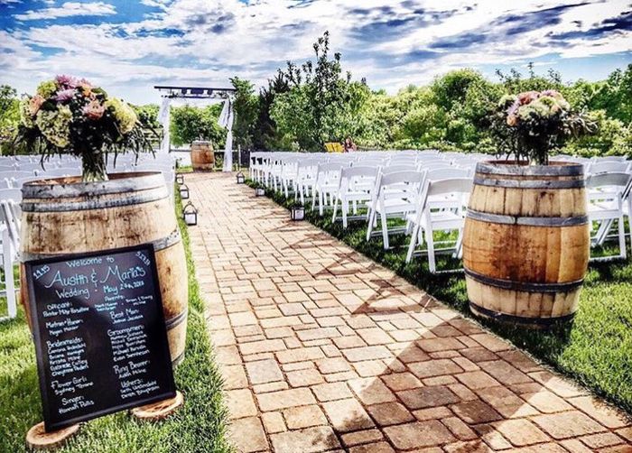Boda en un viñedo / vineyards wedding - 15