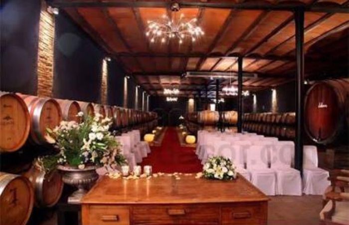Boda en un viñedo / vineyards wedding - 17