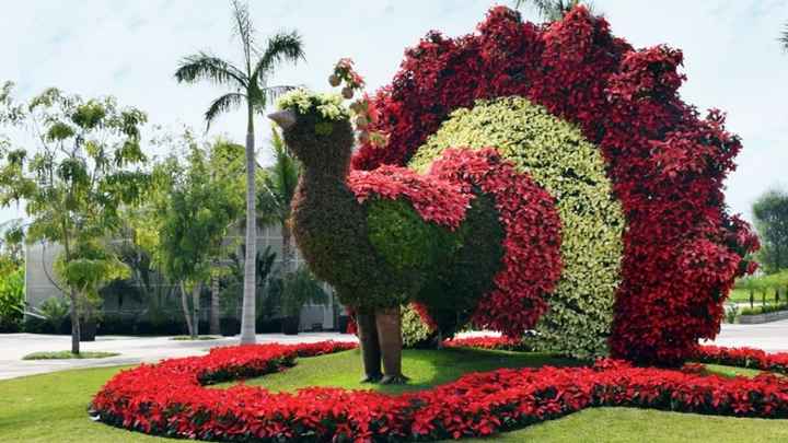 Jardines de Mexico