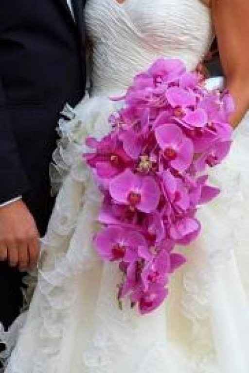 mi ramo asi lo quiero