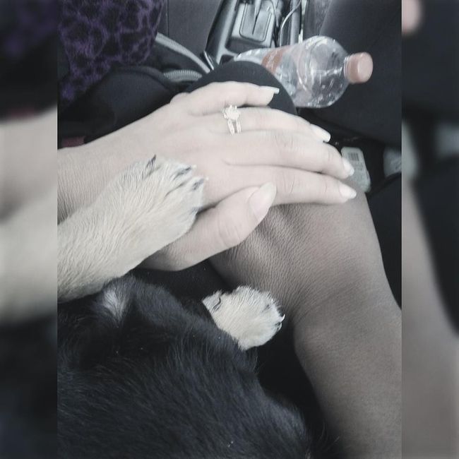 Mi sorpresa romántica Lilibeth 1