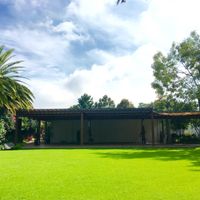 ¿quién se casa o se casó en jardín en cdmx? - 2