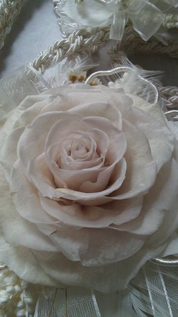 lazo blanco