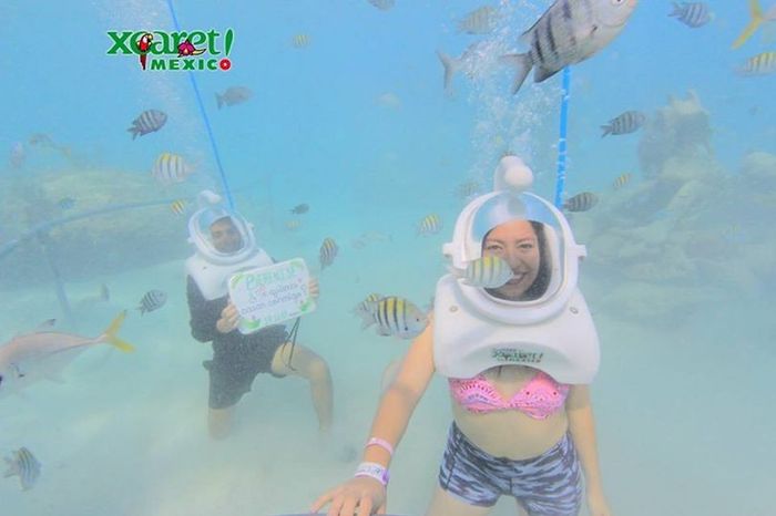 Cómo te dijo: ¿quieres casarte conmigo? 💍 2