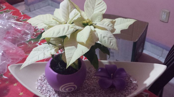 Mis demas detalles - 4