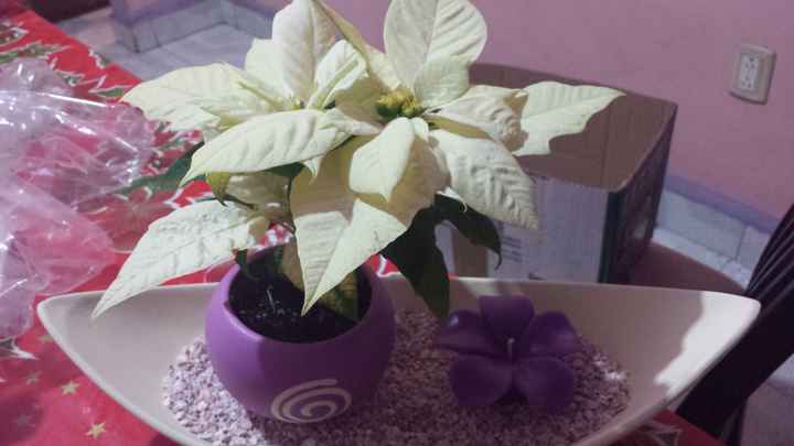 Mis demas detalles - 4