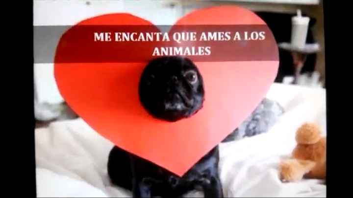 Así me pidió que me casará con él - 10