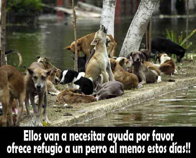 Oremos todos por que el ciclón patricia no afecte tanto - 7