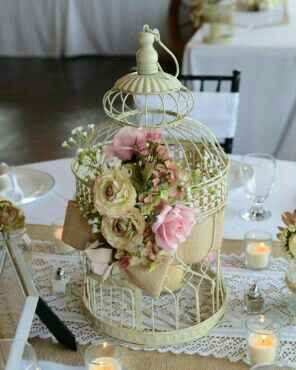 Jaulas y pizarras!!!! - 1