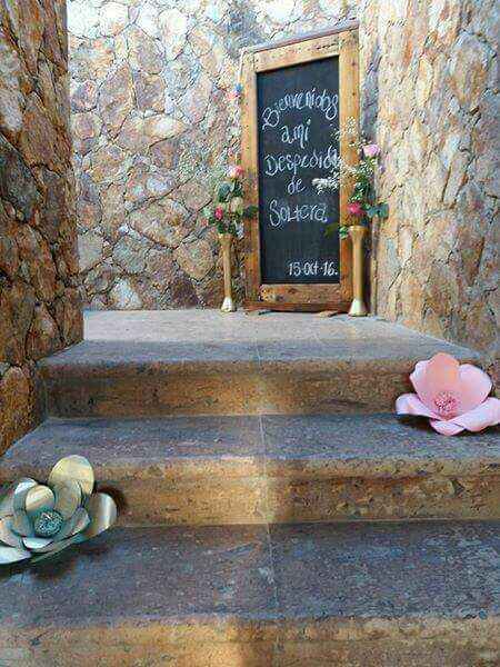 Jardin terraza!!! - 4