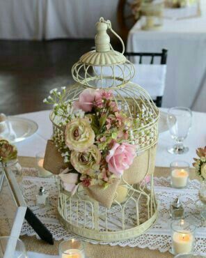 Jaulas y pizarras!!!! - 1