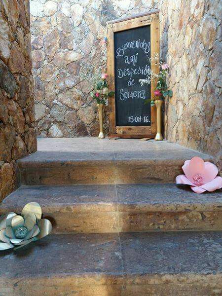 Jardin terraza!!! - 4