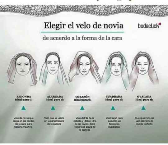 Tipo de velo - 1