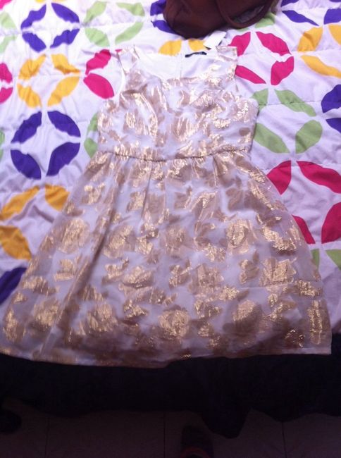 Y con ustedes mi vestido del civil - 1