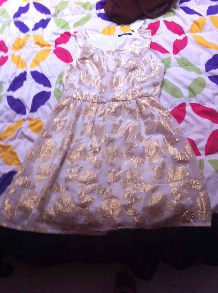 Y con ustedes mi vestido del civil - 1