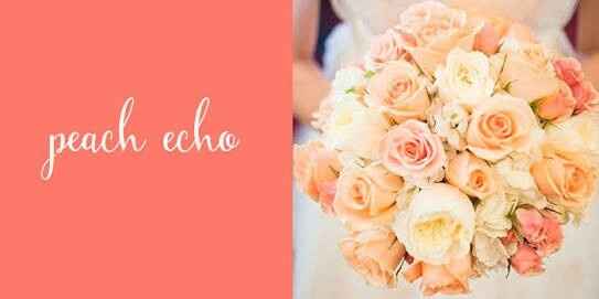 A 6 meses y sin paleta de colores ayuda! - 2