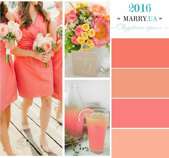 A 6 meses y sin paleta de colores ayuda! - 1