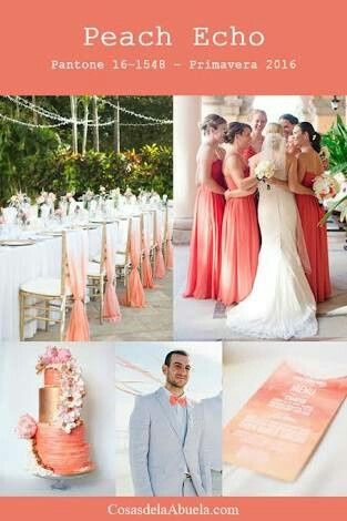 A 6 meses y sin paleta de colores ayuda! - 3