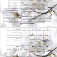 Boda en la playa - 1