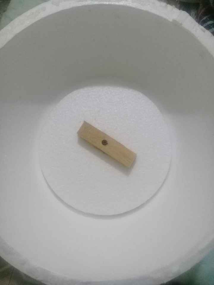 Después de mi Día b 15