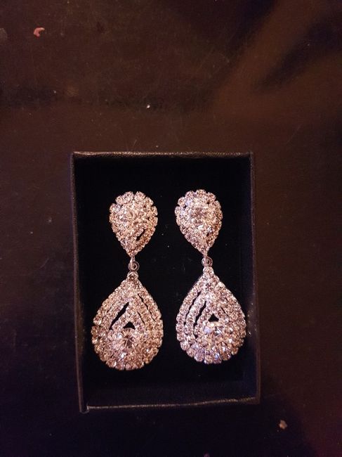  Aretes, anillo y recuerdos - 2