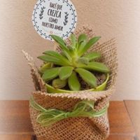 Termos vs Kit Anticruda - 1