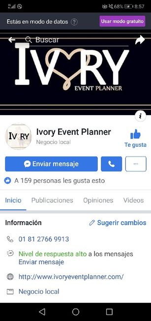 Planeadora de bodas - 1