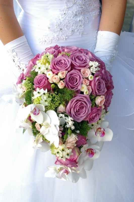 imagen28