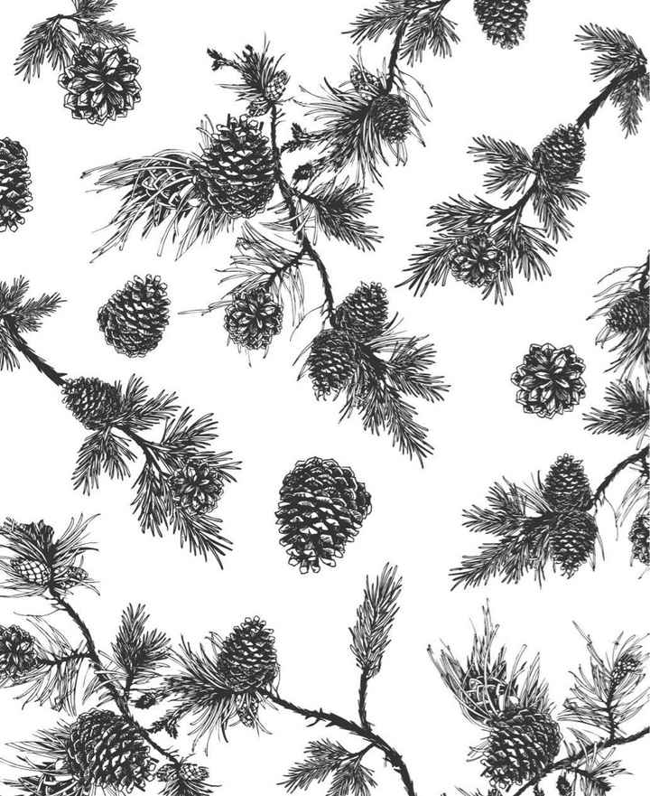 Me ayudan a elegir el color de l madera para la invitación? - 1