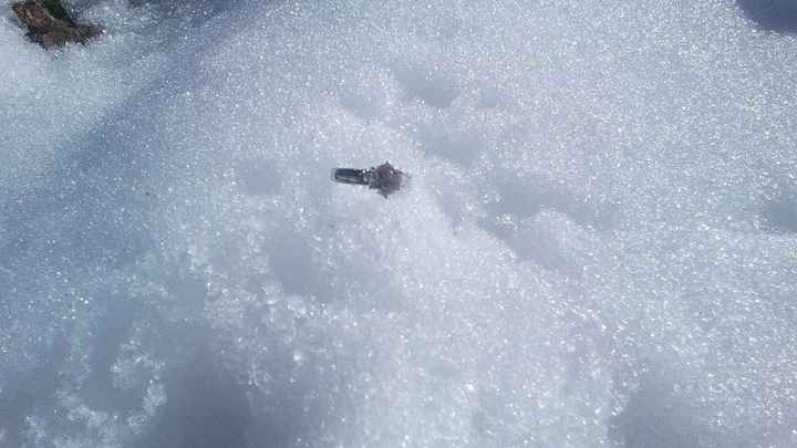 Anillo de compromiso 💍, calidad o cantidad? - 1