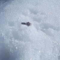 Anillo de compromiso 💍, calidad o cantidad? - 1