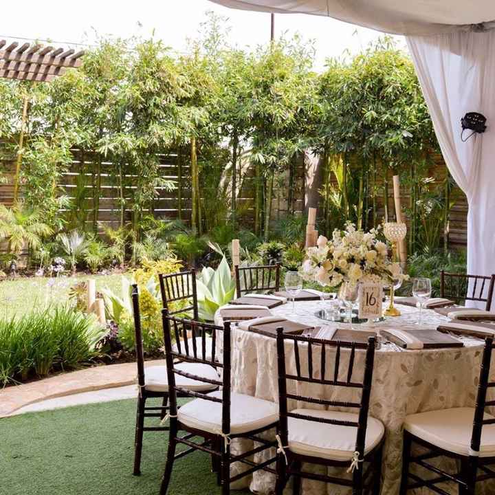 Parte izqierda del jardin (tiene un area de bambus)