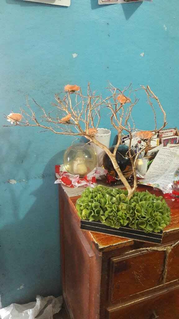 Combinaciones de colores en negro con dorado y rosa - 6