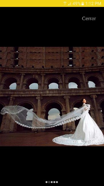 Avemces... llegó mi velo y una disculpa - 1