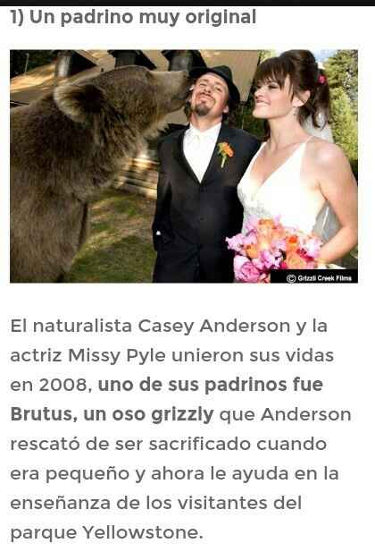 Hablando de bodas curiosas 1 - 1