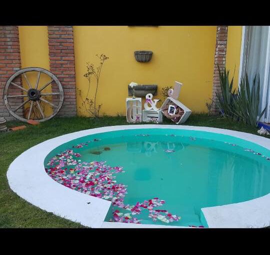 El jardín de mi boda !!! - 2