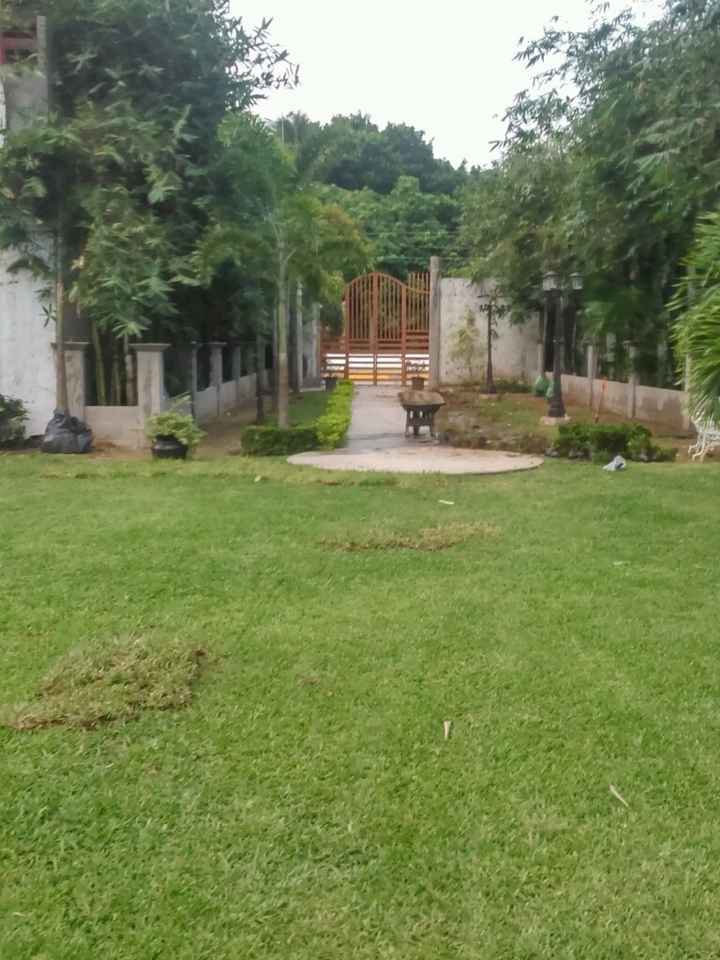 Jardín oh dios!! - 1
