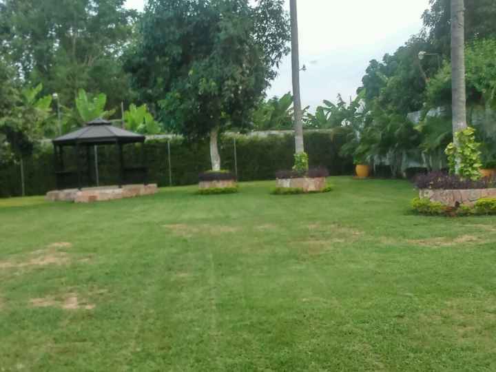 Jardín oh dios!! - 2