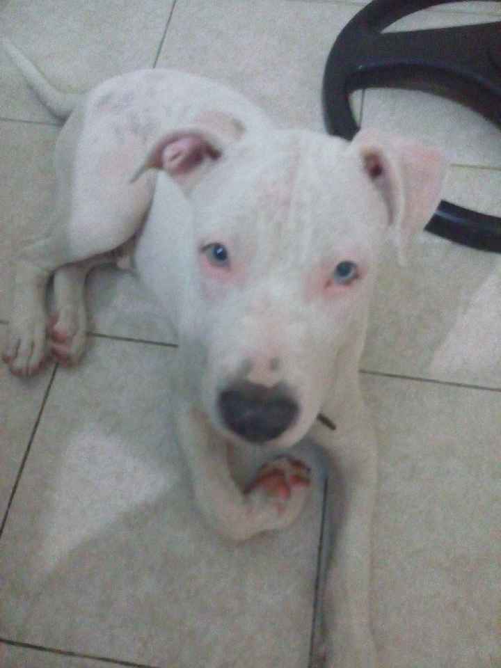mi bebé
