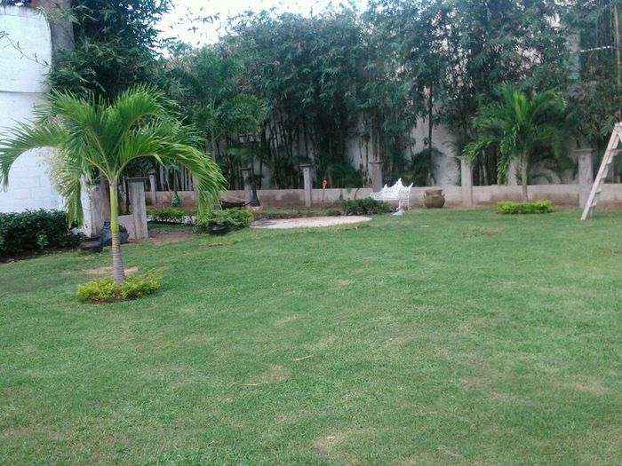 Jardín oh dios!! - 5