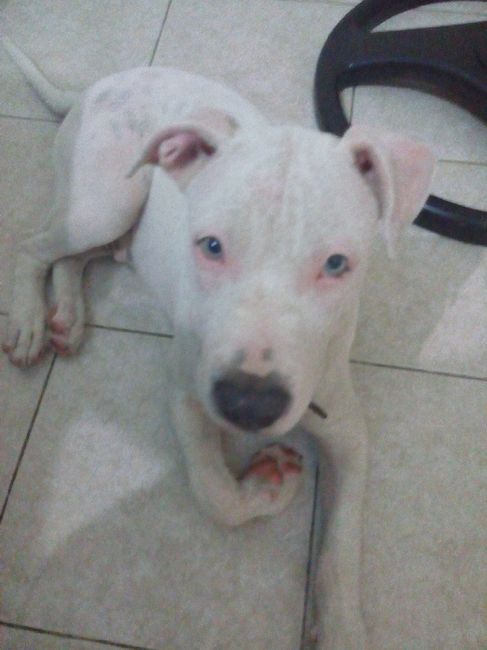 mi bebé