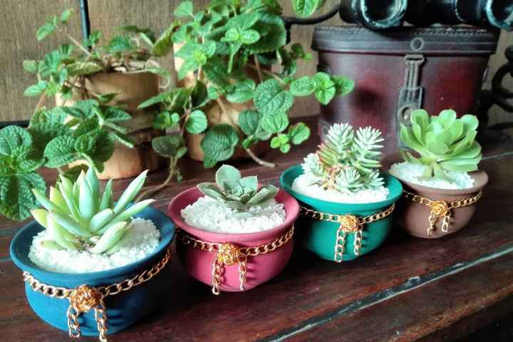Plantitas como obsequio 💗 - 2